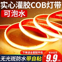 220v light strip led three-color decorative living room ceiling super bright cob outdoor waterproof neon linear soft self-adhesive light strip