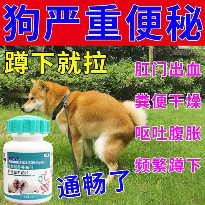 拉布拉多便秘救星!益生菌润肠通便,告别干燥便血,恢复肠胃活力!-狗益生菌-淘宝好物网