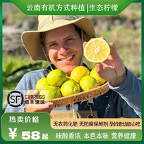 Yunnan ecological green lemon mixed varieties are randomly distributed in the open air without bagging. The fruity flavor is rich and soaked in water for seasoning. SF Express