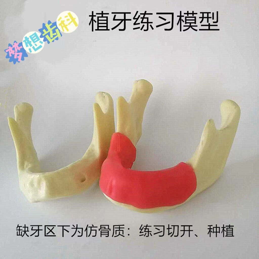 牙科下颌骨种植练习模型 无牙颌仿真骨质种植钻孔练习模型 包邮