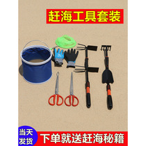 ·Sea catching tool set seaside clam digging equipment shrimp extractor artifact beach collecting oysters razor clam shovel rake