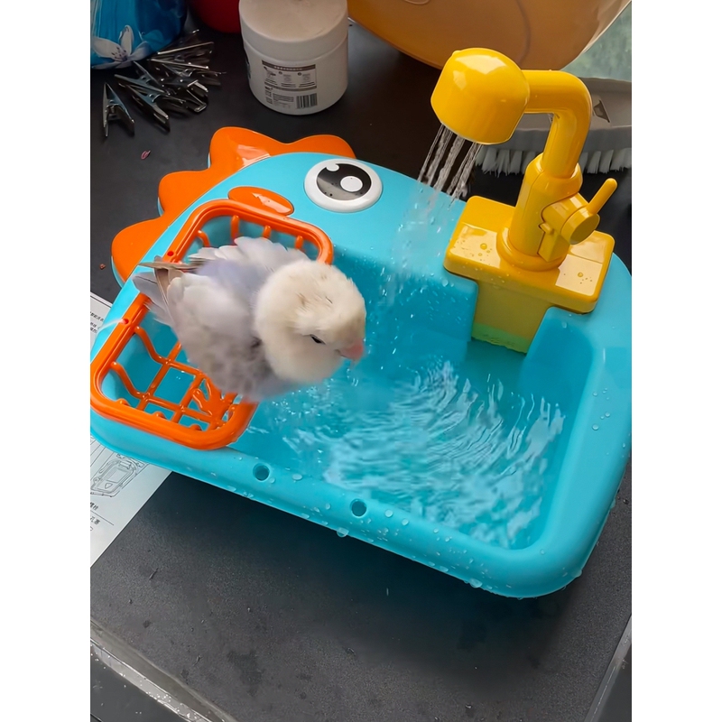 [Summer Parrot Happiness Guide] High-Looking Bird Pet Self-Service Shower Basin Bathtub Bird Bath Artifact