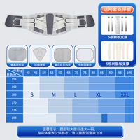 Медицинская модель обновления [Стальная пластина+хрящ+бионическая поддержка] Подарок четыре типа прокладки