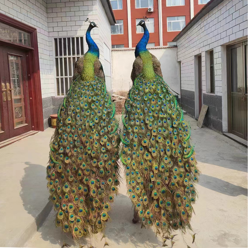 Peacock Specimen Animal Ornament for Living Room, Modern Creative Floor-Standing Home Decor, Wedding Animal Photography Prop, Decoration and Gift-Giving