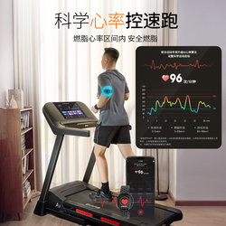 Shuhua treadmill indoor home foldable silent shock-absorbing home fitness dedicated official fitness equipment 9119