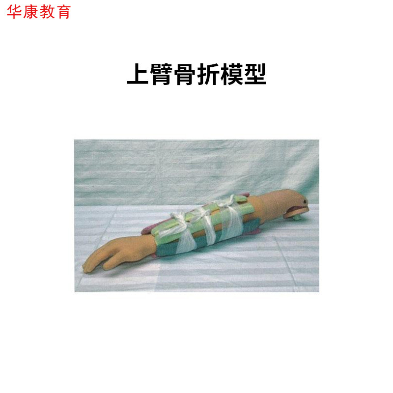 H340上臂骨折模型手臂成角畸形断手夹板固定教学训练