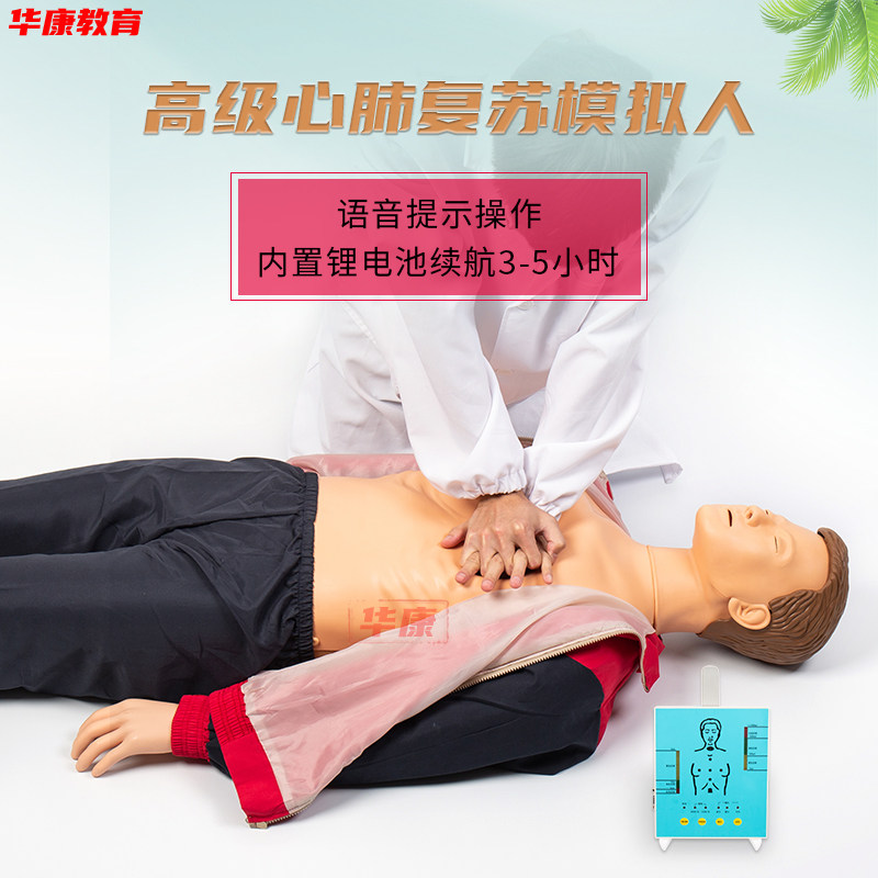心肺复苏模拟人半全身CPR急救训练模拟人操作安全培训模特应急救