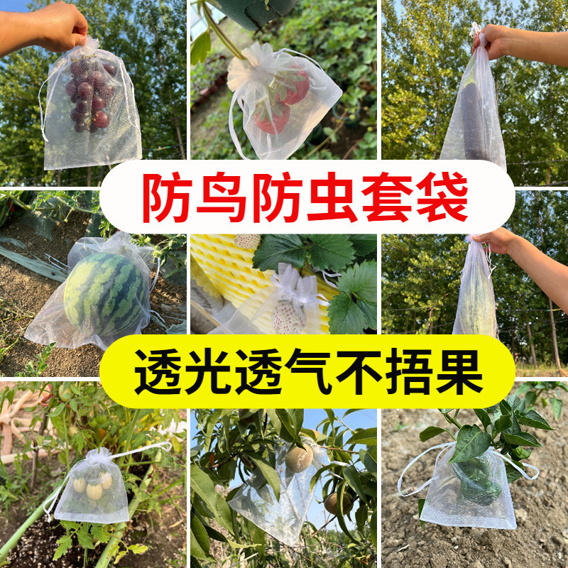 Fruit Bagging Netting for Fruit Trees to Prevent Birds and Insects, Suitable for Grapes, Figs, Guava, Loquats, Peaches, and Strawberries Fruit Bagging Netting for Fruit Trees to Prevent Birds and Insects, Suitable for Grapes, Figs, Guava, Loquats, Peaches, and Strawberries