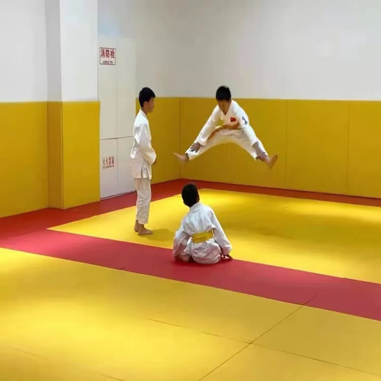 Professional competition Training judo cushions Wrestling Mat tatami martial arts scattered and gymnastic cushion battled flexo cushion-Taobao