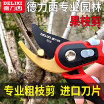 German imported Delixi garden shears labor-saving pruning scissors tree branch gardening scissors fruit tree thick branch shears flower art