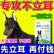 狗狗立耳贴神器黑狼犬杜宾犬柯基幼犬折耳朵固定器通用竖耳辅助器