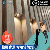 Internet celebrity grille light starry sky top grille light background wall 12V opening 0 8CM cabinet model small tube spotlight