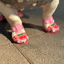 Pet shoes for small and medium-sized dogs and cats jelly sandals cartoon soft sole non-slip breathable rain boots cherry crystal shoes new style