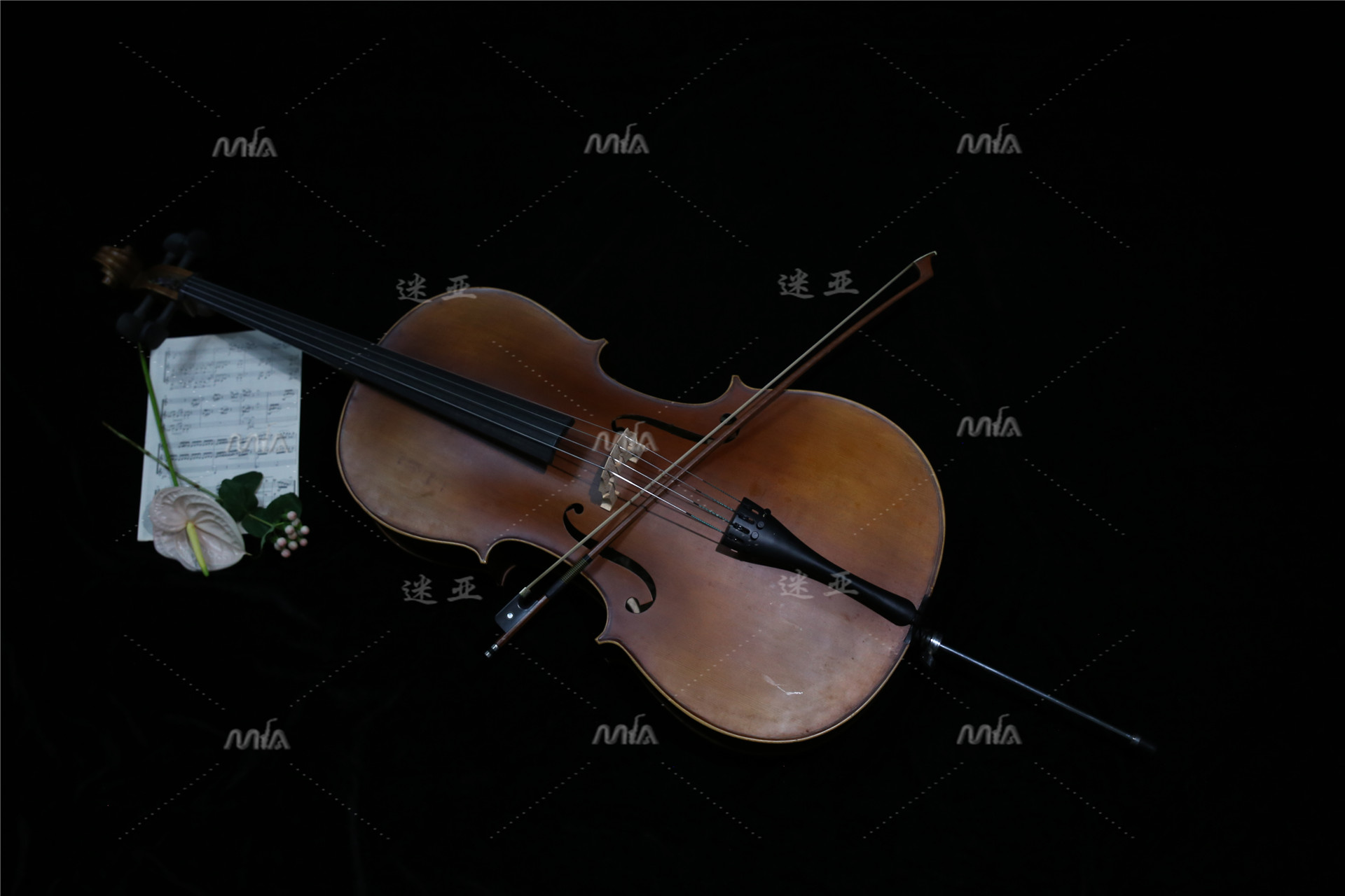 Shanghai Cello Rental Cello Rental Adult 4 4 Whole Piano Only Rent Not Sell Strings Rental