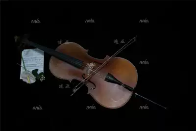 Shanghai cello rental cello rental adult 4 4 full piano string rental
