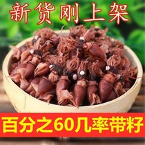 Mini dried sea rabbit 1000g small sea rabbit cuttlefish dried cuttlefish cuttlefish dried seafood 50g