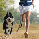 Спортивная эластичная собачья тяга, бегущая собачья веревка, ходячие собаки могут дразнить и сжимать от светодиодной веревки собаки