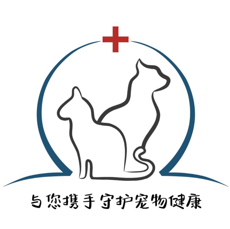 龙猫喵医