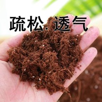 Sword Lands Special Earth Sword Lanland Indoor Potted Plant Nutrient Soil Acidic Sandy Clay Charcoal Soil Green Xinjiang Tibetan Special Chain