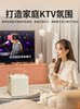 Microphone and Speaker Integrated Wireless Home Ktv Children's Karaoke Singing Outdoor Portable Bluetooth Speaker
