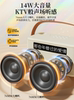 Lyrics, Subtitles, Microphone, Audio Integrated Microphone, Karaoke Singing, Home Portable Bluetooth Speaker, Home Ktv Set