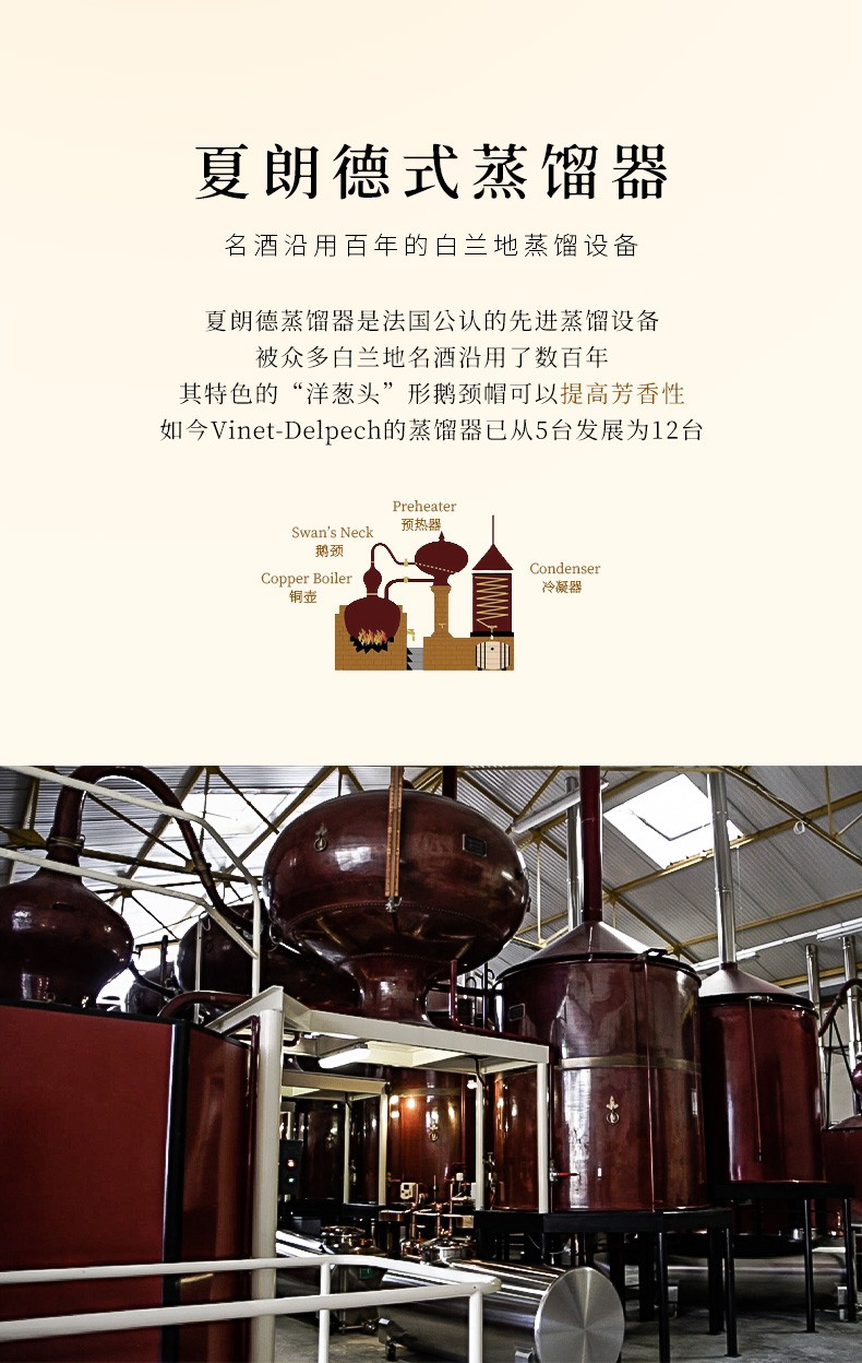 10-632410f6d85aa.jpg 