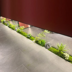 Artificial Green Plants Porch Landscaping Decoration Indoor Auschle Flower Groove Bionic Plant Partition Decoration Display Cabinet Micro Landscape