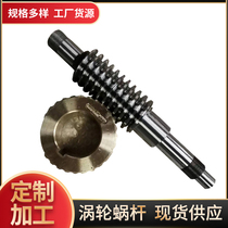 Worm gear assembly Worm gear reducer accessories for motor Worm gear Precision gear Worm gear