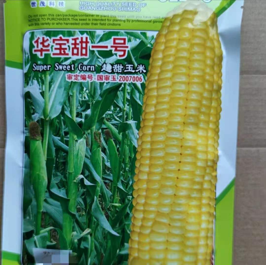 Sweet corn seed Huabao sweet No. 1 ultra sweet corn seed (200 gr) thin and no residue sweetness high