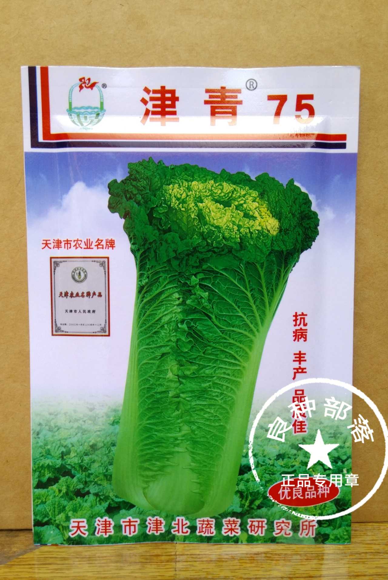 Vegetable Farm Special Cabbage Seeds Zinqing 75 Straight Silo Hemp cabbage (15 gr) Hemp Leaf Cabbage Cabbage Cabbage Cabbage Rolls