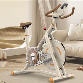 Home spinning silent exercise bike for aerobic fitness