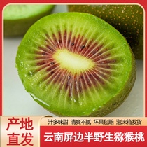 Yunnan Pingbian Red Heart Kiwi Fruit Fresh Seasonal Kiwi Fruit Highly Sweet Pingbian Dawei Mountain Kiwi Fruit