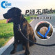 Dog leash thickened dog p chain p rope golden retriever Labrador dog chain Ala dog rope large dog alpaca rope