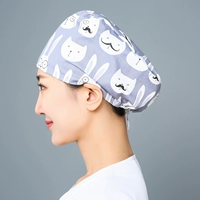 Г -н Литтл Медведь регулирует