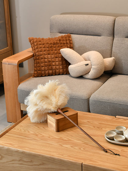 鸡毛掸子家用鸵鸟毛除尘掸扫灰静电掸子清洁神器诧寂风摆件软装饰