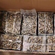 Fresh Field Snail Meat Screw Meat Black Meat Head Micromountain Lake Wild Vacuum Packing Snail Powder