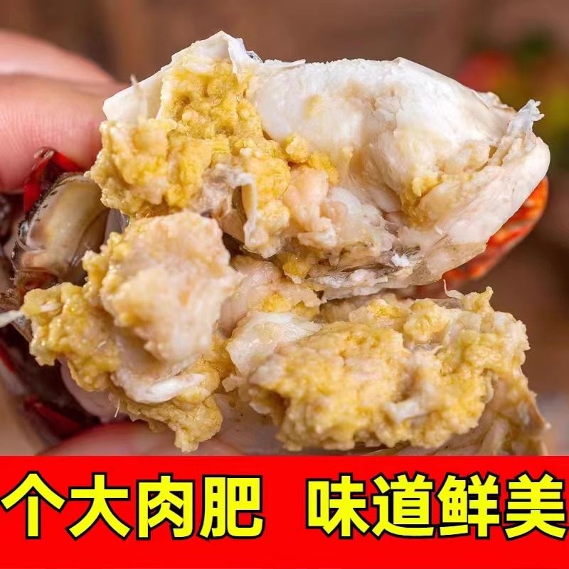 大揭秘！如何打造超级螃蟹账号？