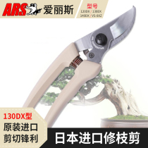 Japan Alice original ARS Alice 130DX pruning shears flower shears fruit tree shears 120DX scissors