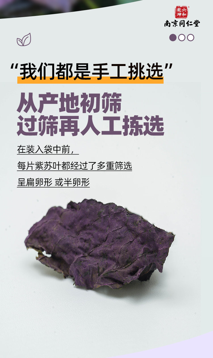 【中国直邮】南京同仁堂   紫苏叶  解表散寒  行气和胃   150g/瓶