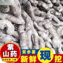 Purple yam fresh Jiangxi freshly dug 5 kilograms of leg potato purple big potato purple Huaishan hairy potato red hairy potato agricultural products and vegetables
