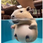 凯瑞俱乐部