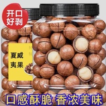 Macadamia nut butter flavor g dried fruit suitable for all ages full of nutrition milky flavor carefully selected crispy and large pieces