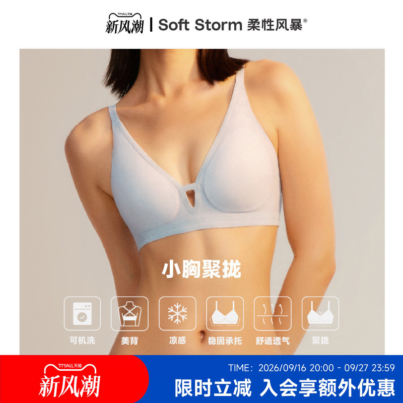 Flexible Storm-Proof Small V-Shaped Triangle Cup Bra for Small Busts, Seamless, Breathable, Comfortable, Wireless Bra for Women