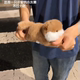 Little Otter Snap Ring Doll Doll Pull Rope Wagging Tail Children's Adult Bracelet Cute Plush Toy Gift for Women