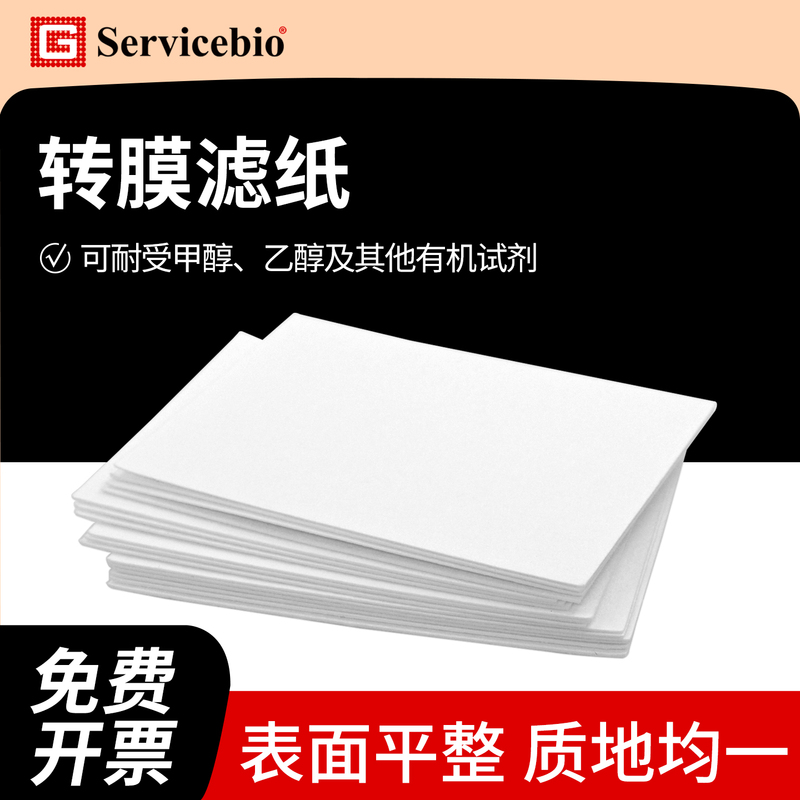 Saiwei Wb Transfer Filter Paper Thin/Thick Type Western Blot Transfer Filter Paper Wb Protein Transfer Filter Paper Saiwei Wb Transfer Filter Paper Thin/Thick Type Western Blot Transfer Filter Paper Wb Protein Transfer Filter Paper