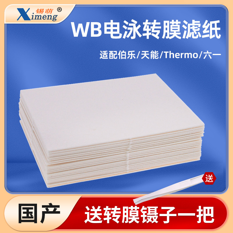 WB转印滤纸Western blot湿转转膜滤纸适用伯乐/天能/Thermo/六一