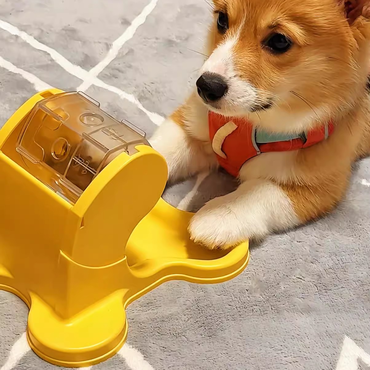 宠物漏食益智玩具：让吃饭成为一场趣味探险