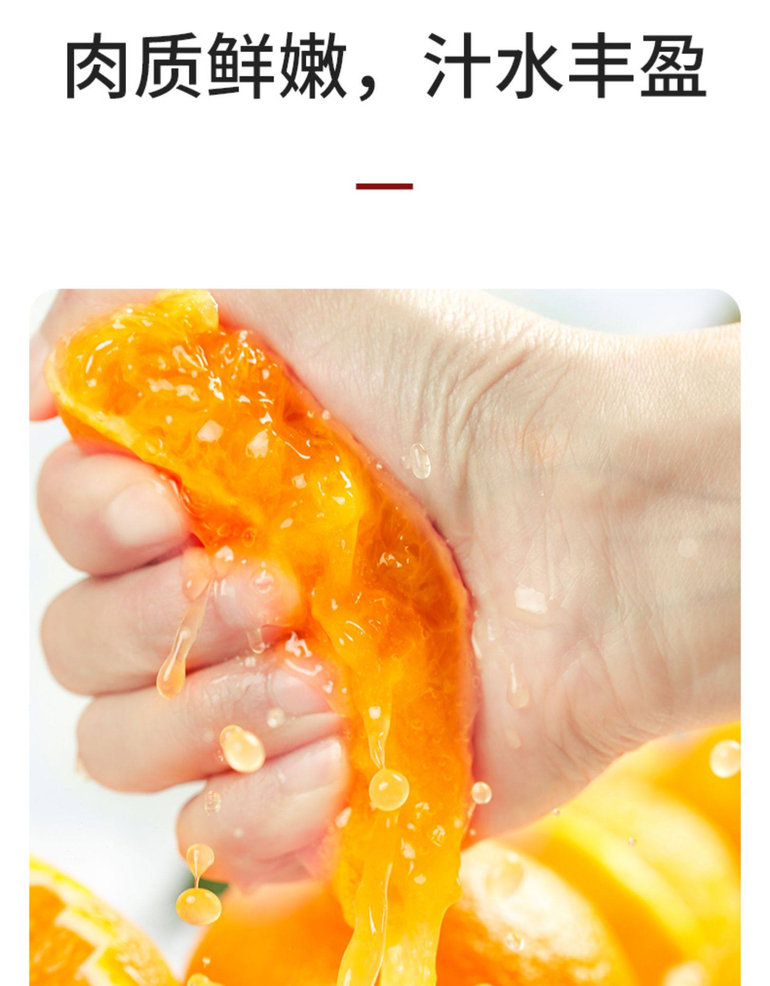 鲜天下之优 四川爱媛38号果冻橙 5斤 单果果径70~75mm 天猫优惠券折后¥27.8包邮(¥42.8-15)