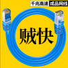 Network Cable for Home Use, Gigabit, Cat6, Cat5, Router, Surveillance, Finished Cable, Computer Broadband Network Jumper