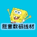 胜意数码网线一支持定制